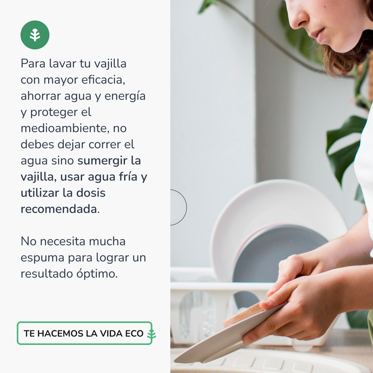 Pack 3xLavavajillas Manual Té Verde ECO Planeta Huerto 5l