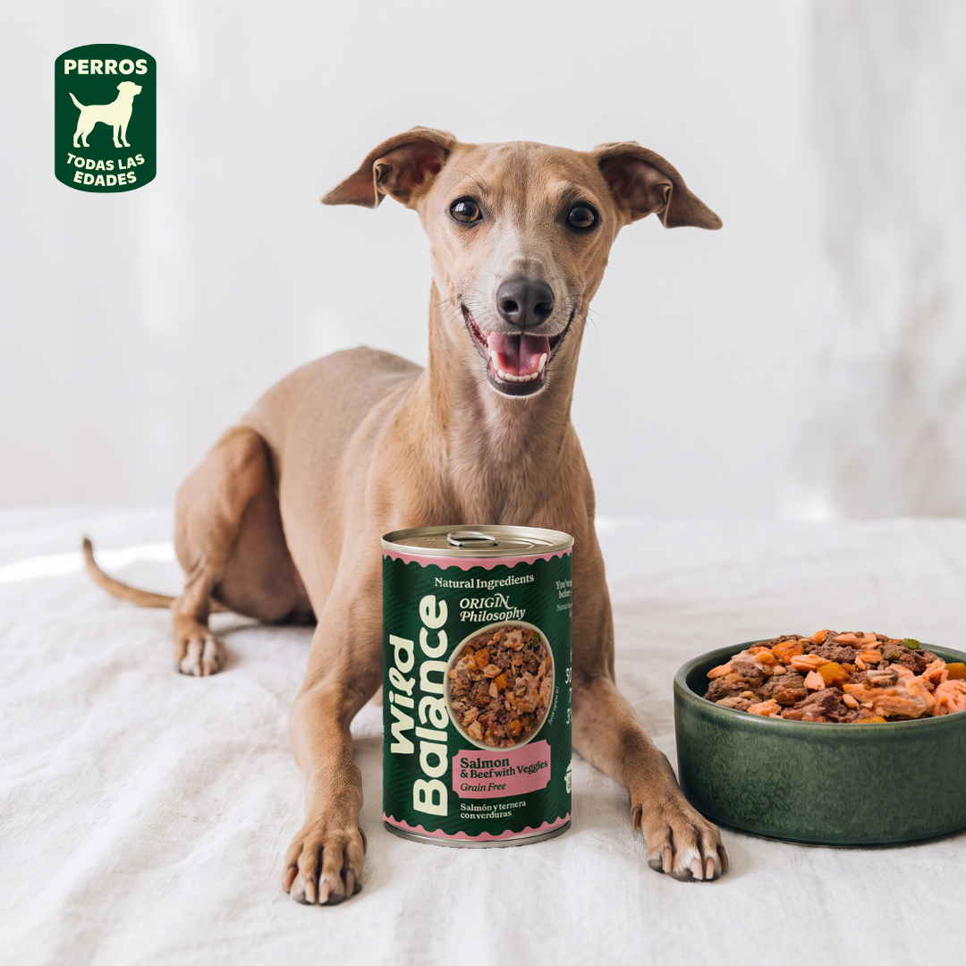 Dose Lachs und Rindfleisch BARF für Hunde Wild Balance 400 g