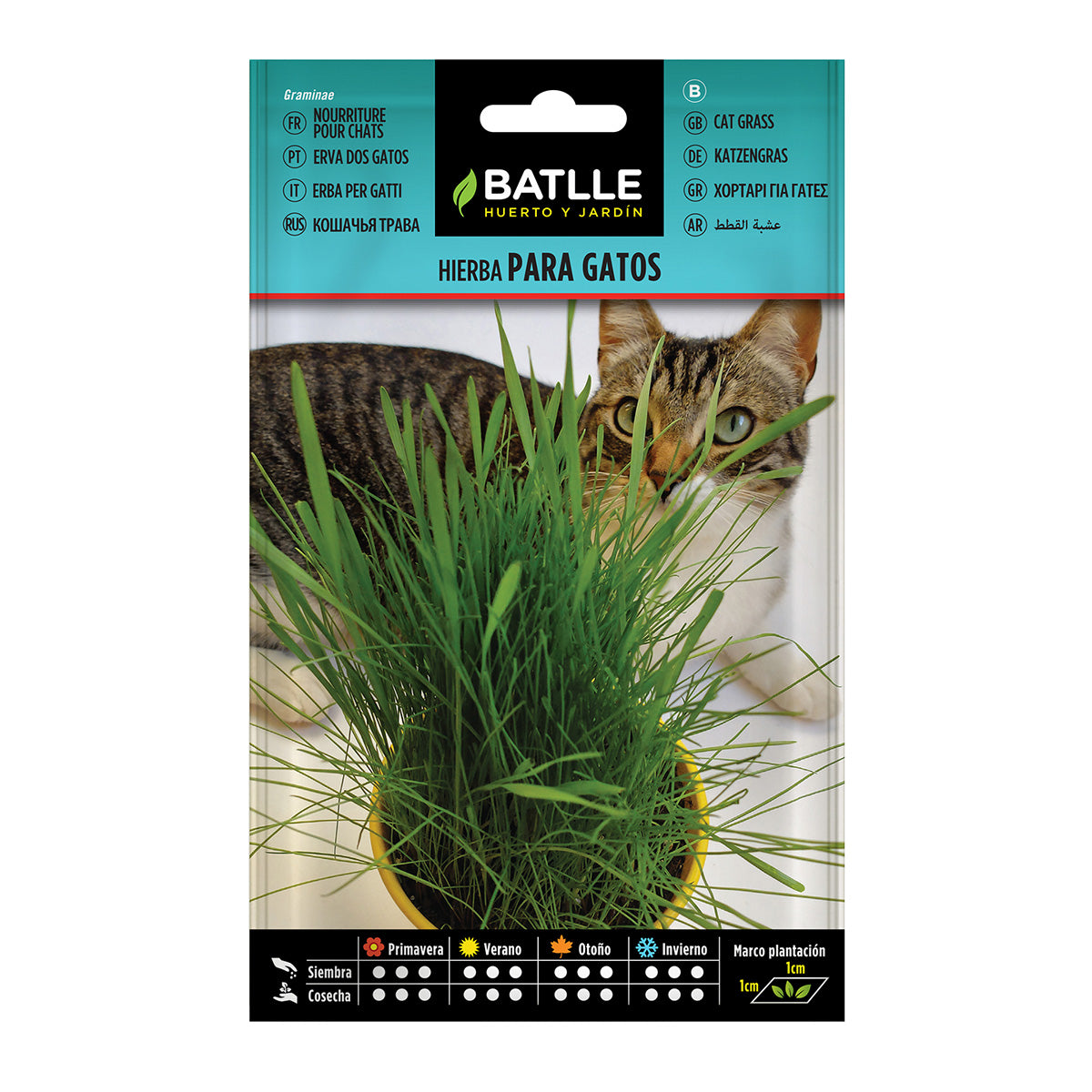 Semillas de Hierba para Gatos Batlle