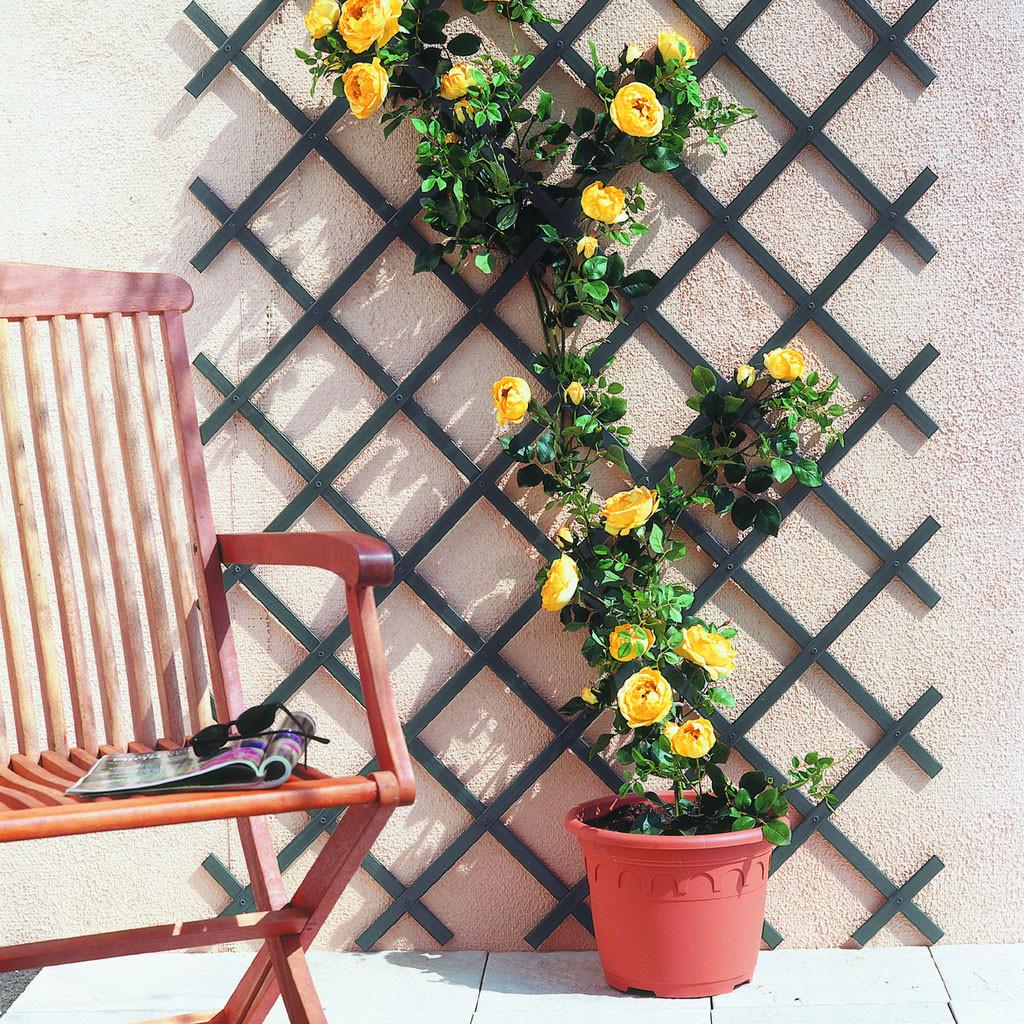 Celosia PVC Extensible 0,5x1,5 m verde Trelliflex Nortene