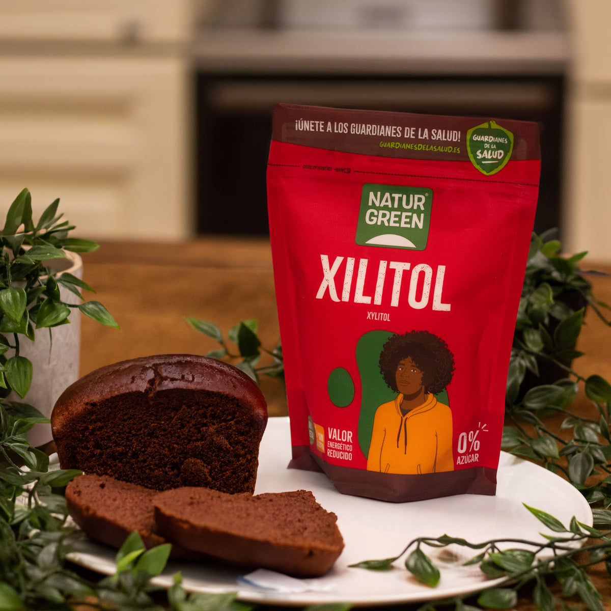 Xylit Birkenzucker Naturgreen 500 g