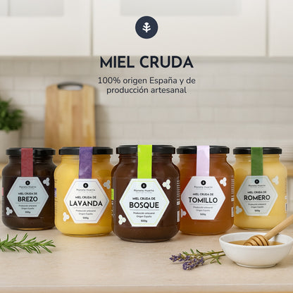 Pack 6x Miel Cruda de Lavanda Planeta Huerto 500 g