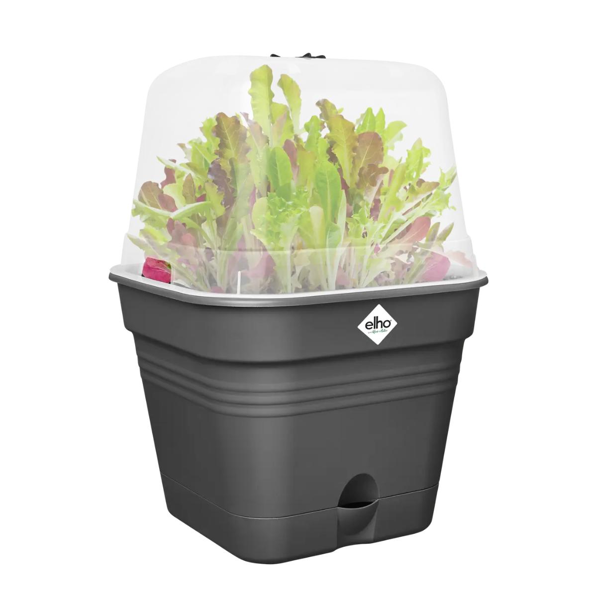 Maceta de cultivo Green Basics Elho Antracita 20 cm