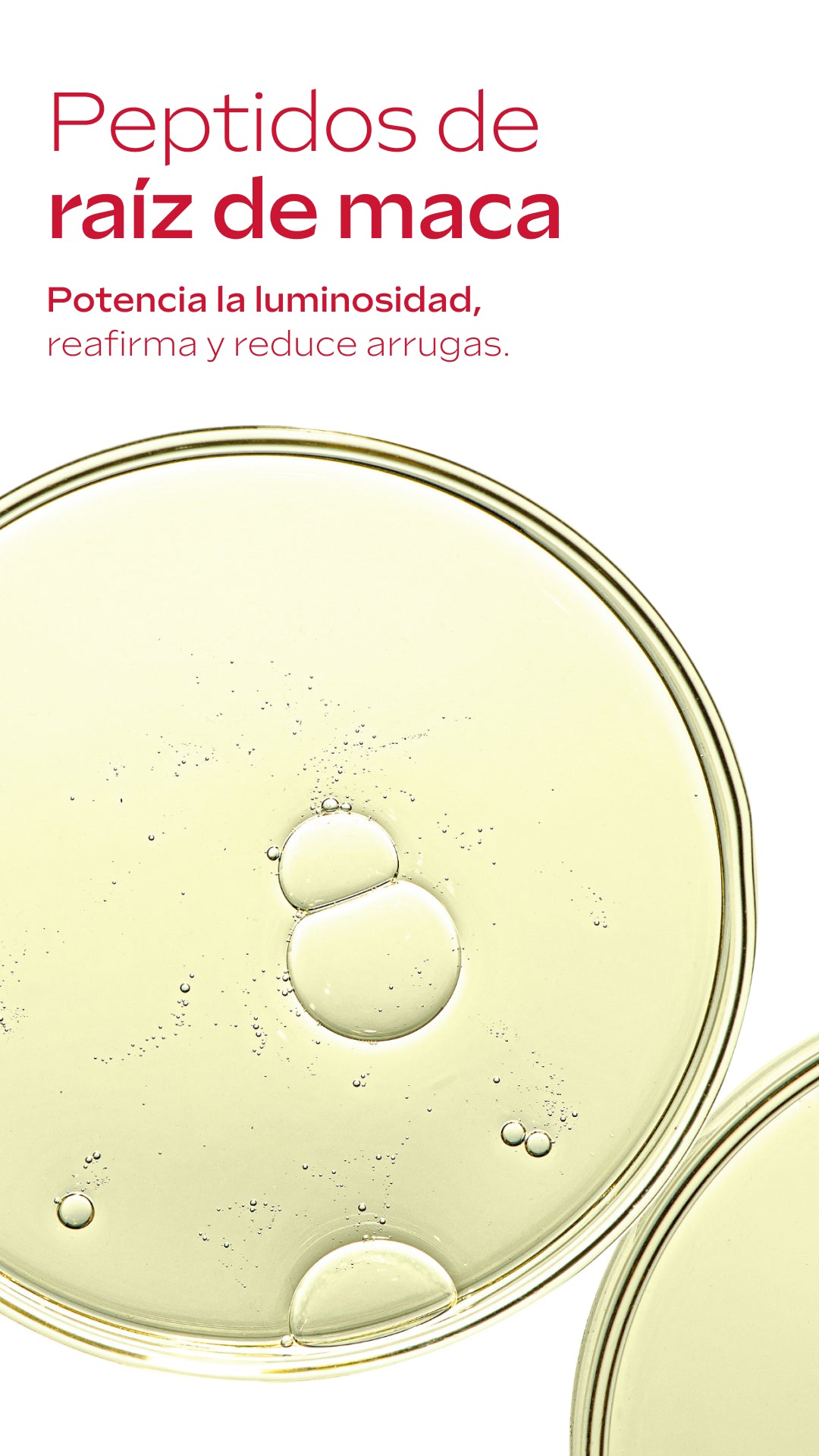 Straffende Augencreme mit Granatapfel und Maca-Peptiden von Weleda, 12 ml