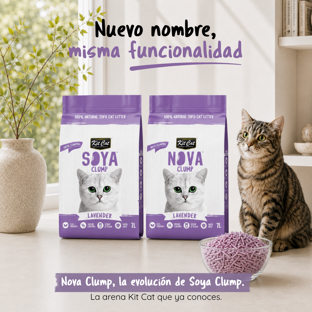 Katzenstreu-Set Eco SoyaClump – Lavendel 7 l Katzenstreu