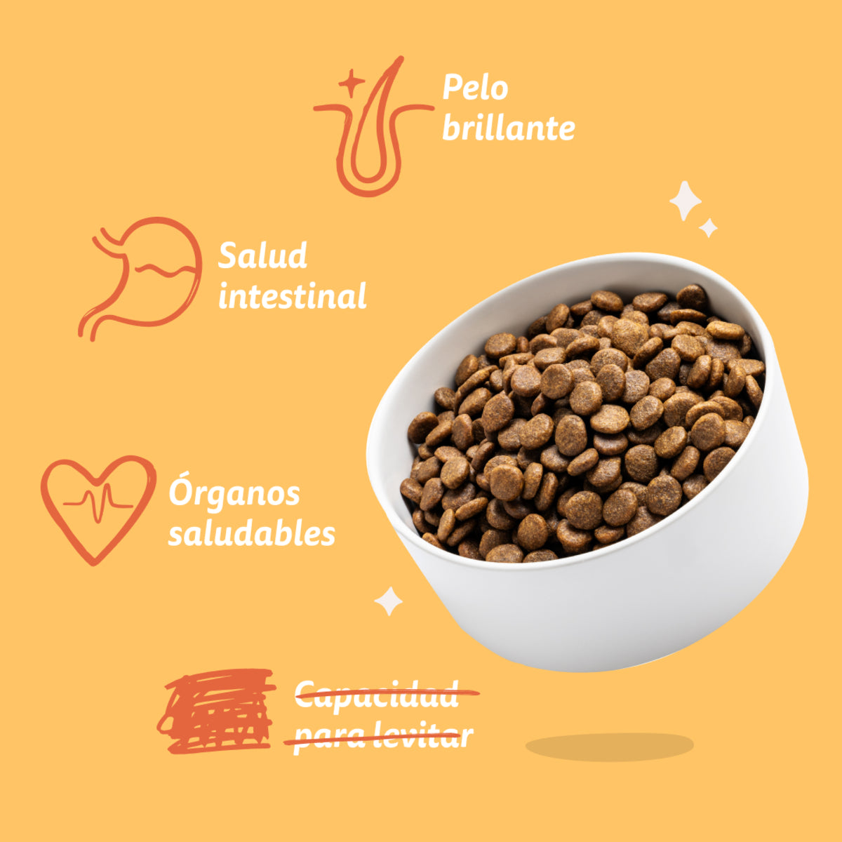 Hundefutter Freilandhuhn Edgard & Cooper 1 kg