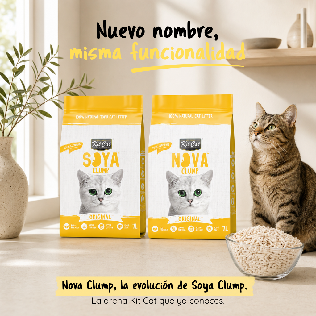 Kit Cat Arena Eco SoyaClump – Original 7 l Katzenstreu