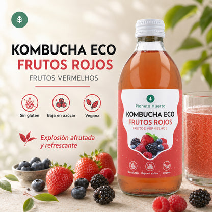 Kombucha ECO Rote Früchte Planet Orchard 330 ml