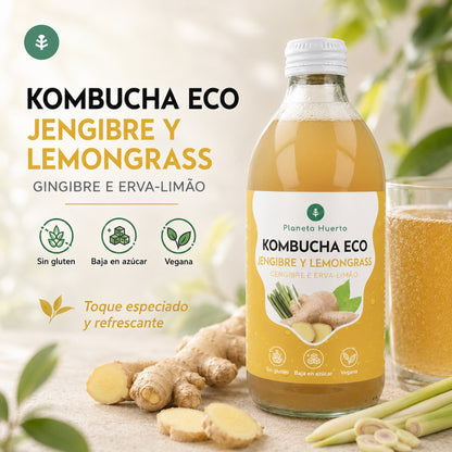 Kombucha ECO Ingwer und Zitronengras Planeta Huerto 330 ml