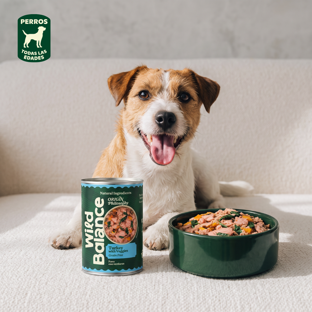 Komplettes BARF-Menü mit Truthahn für Hunde, Wild Balance, 400 g