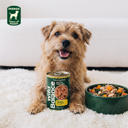 Barf-Hühnerfleisch-Packung für Hunde 6 x 400 g Wild Balance