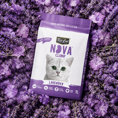 Katzenstreu-Set Eco SoyaClump – Lavendel 7 l Katzenstreu