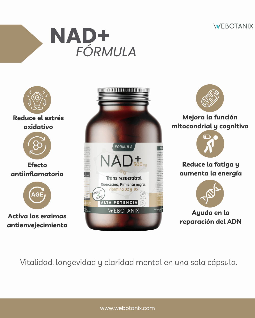NAD+ 300 mg Trans Resveratrol WEBOTANIX 60 Kapseln