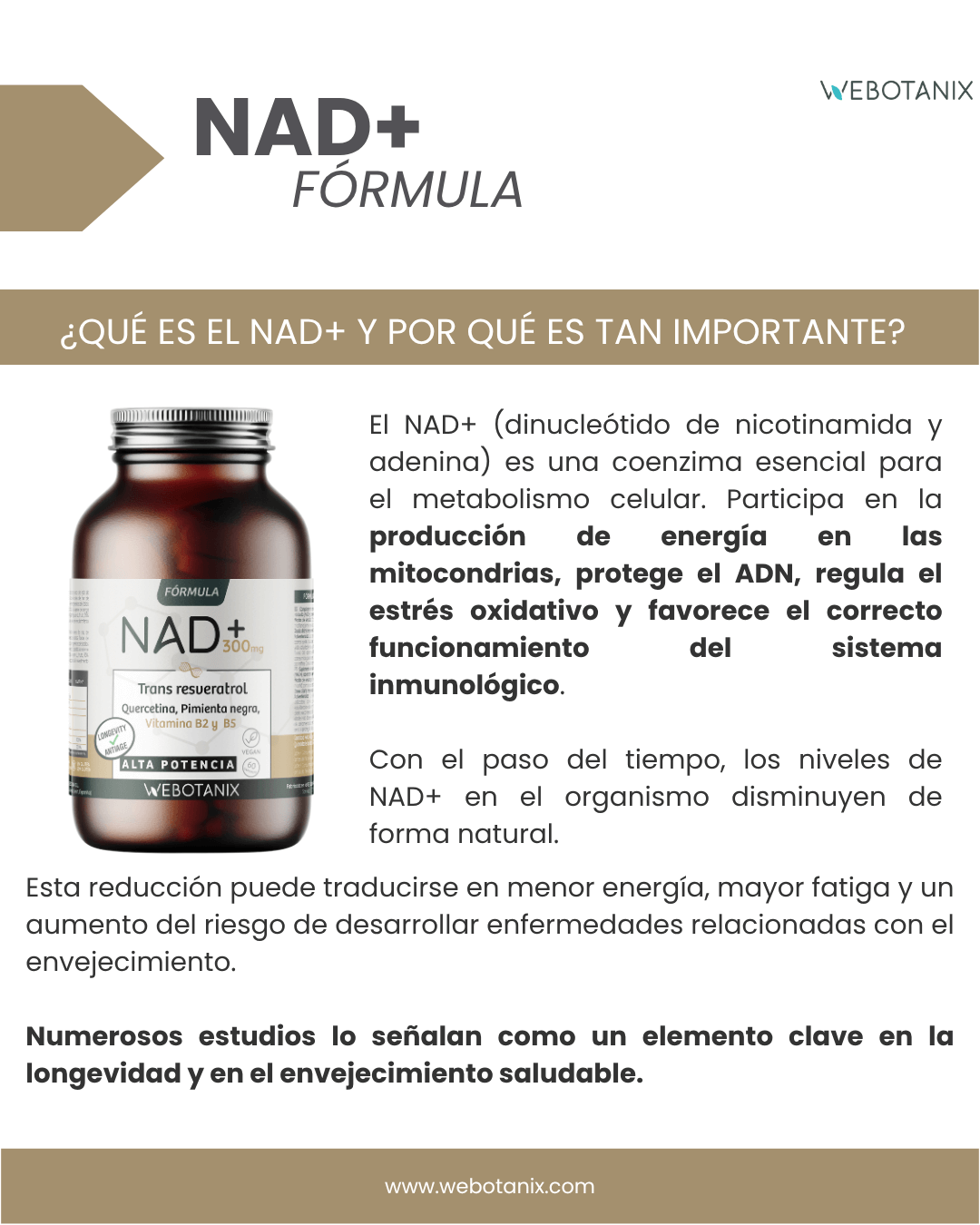 NAD+ 300 mg Trans Resveratrol WEBOTANIX 60 Kapseln