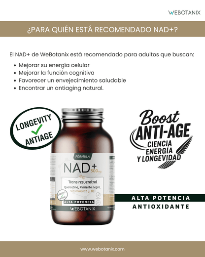 NAD+ 300 mg Trans Resveratrol WEBOTANIX 60 Kapseln