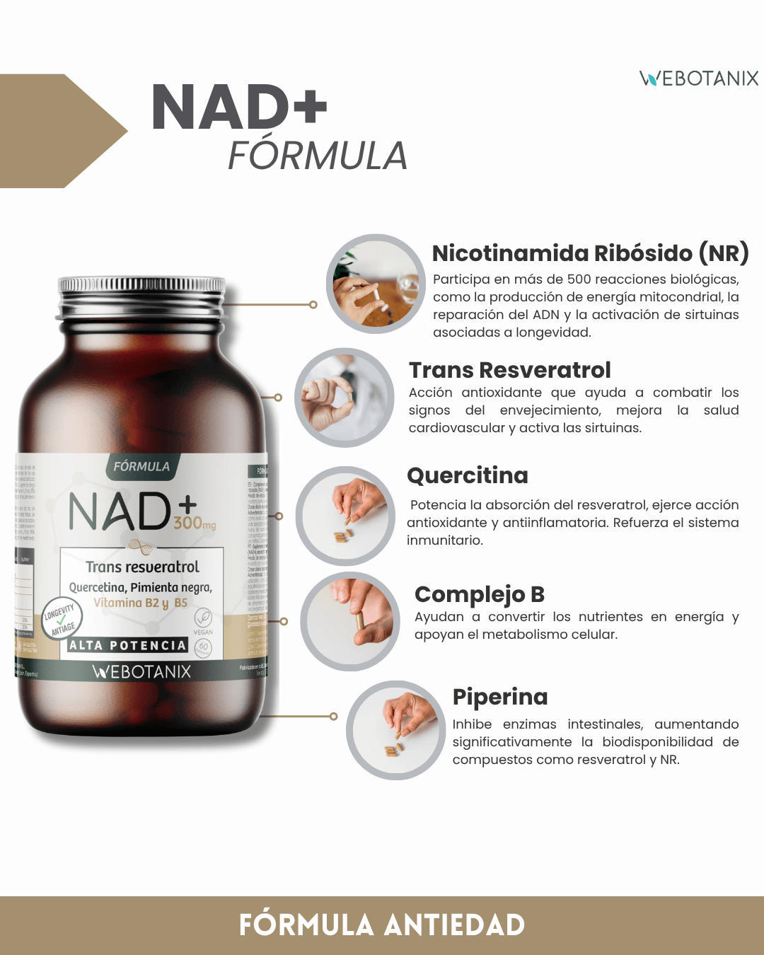 NAD+ 300 mg Trans Resveratrol WEBOTANIX 60 Kapseln