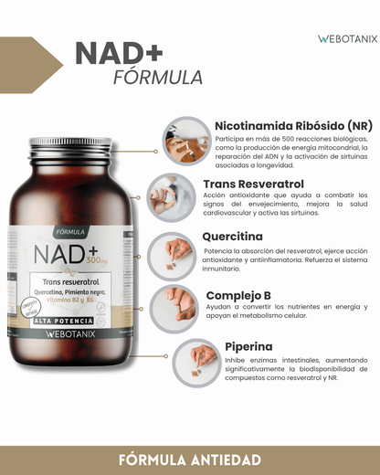NAD+ 300 mg Trans Resveratrol WEBOTANIX 60 Kapseln