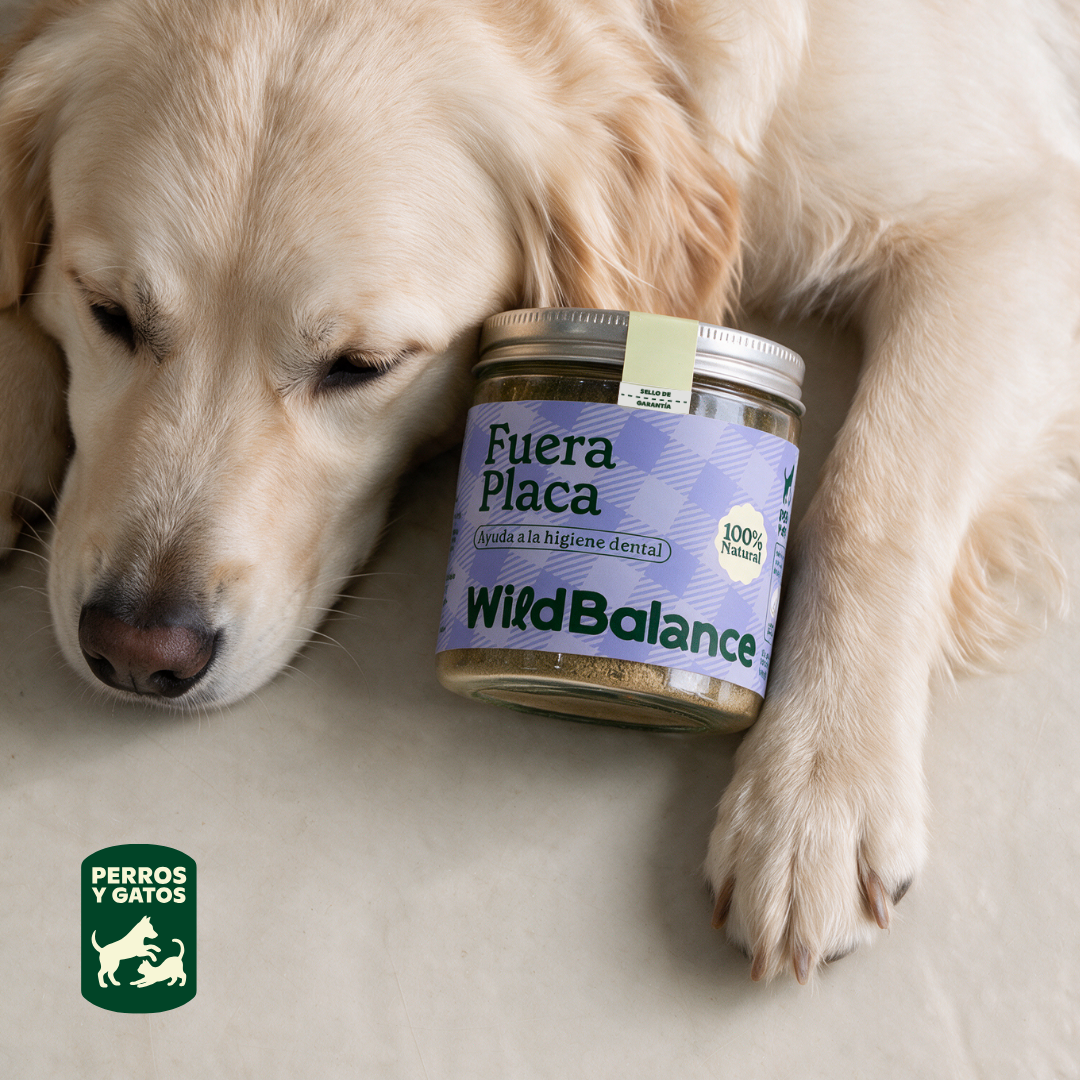 Fuera Placa Nahrungsergänzungsmittel für Haustiere Wild Balance 100 g