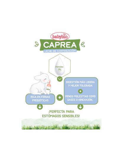 Bio-Ziegenmilch Caprea 1 (0 bis 6 Monate) ökologisch Babybio 400 g