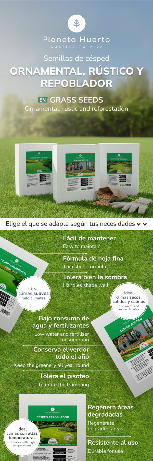 Planeta Huerto Rustikale Gras-Samen 1 kg