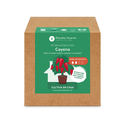 Kit de autocultivo Cayena Planeta Huerto
