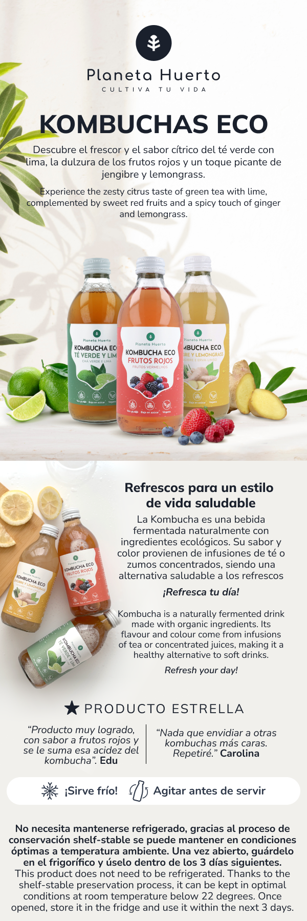 Kombucha ECO Ingwer und Zitronengras Planeta Huerto 330 ml