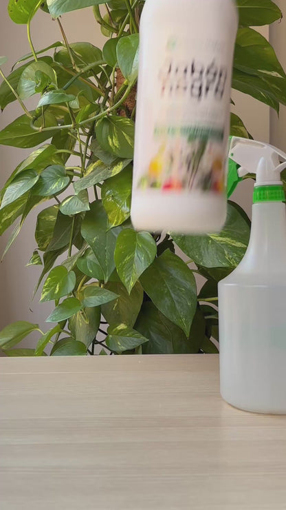 Kaliumseife Negro Planeta Huerto 1 l