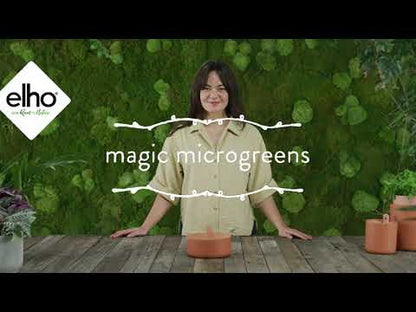 Keimgerät Magic Microgreens Elho Verde